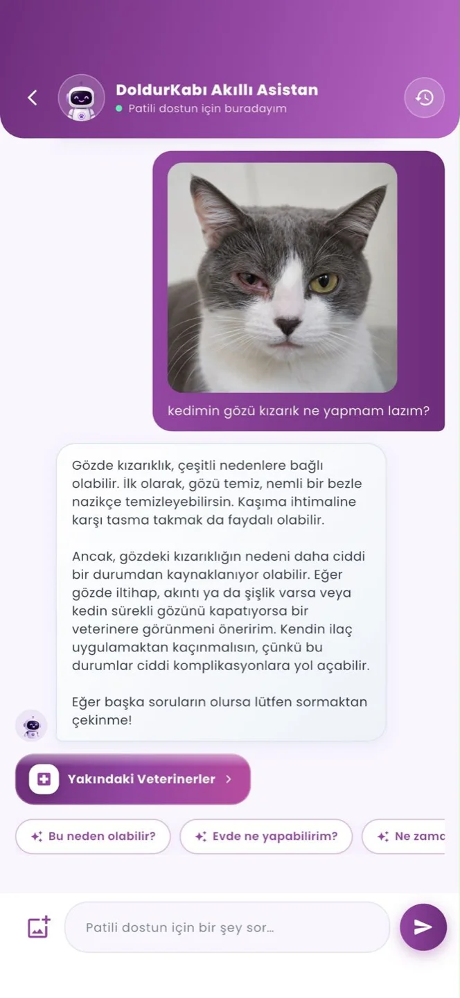 Asistan sohbeti: gönderilen kedi fotoğrafı, «kedimin gözü kızarık ne yapmam lazım?» sorusu, asistanın yanıtı ve Yakındaki Veterinerler butonu