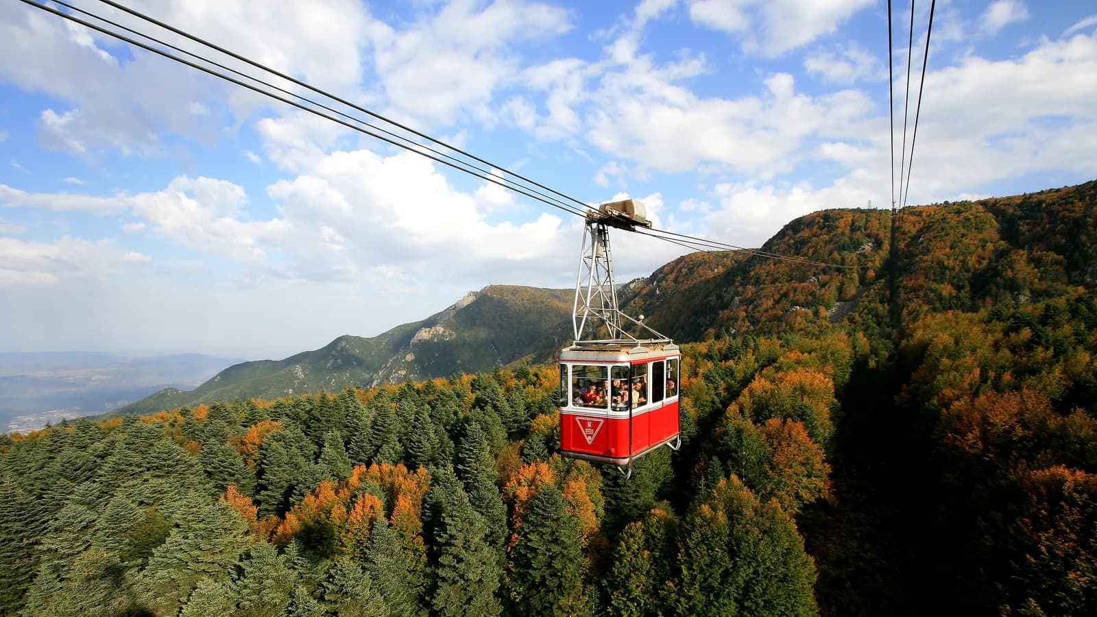 Bursa