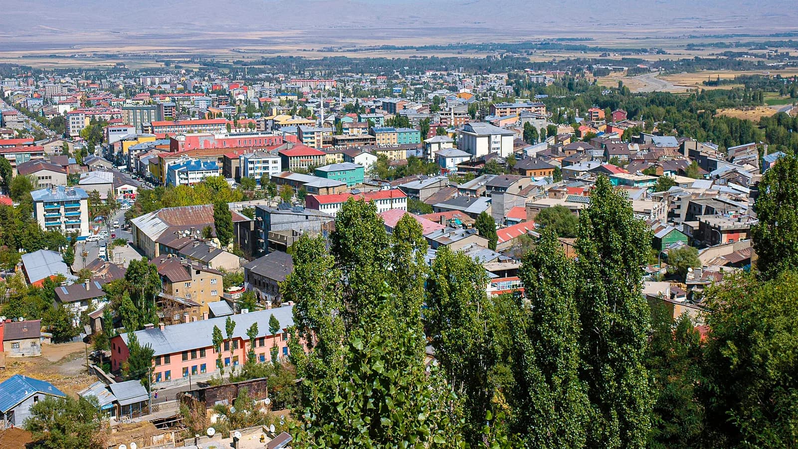 Muş