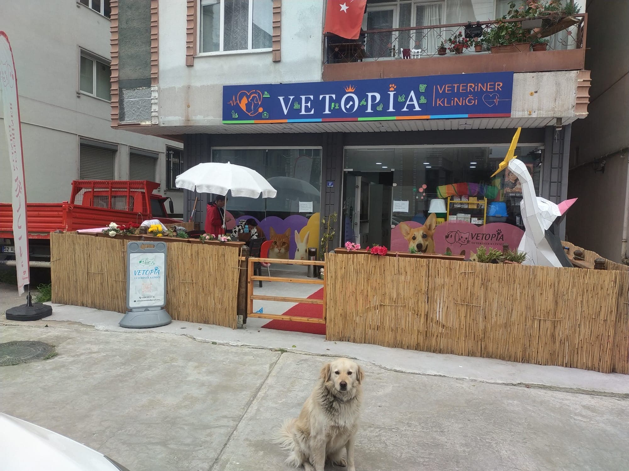 Vetopia Veteriner Kliniği