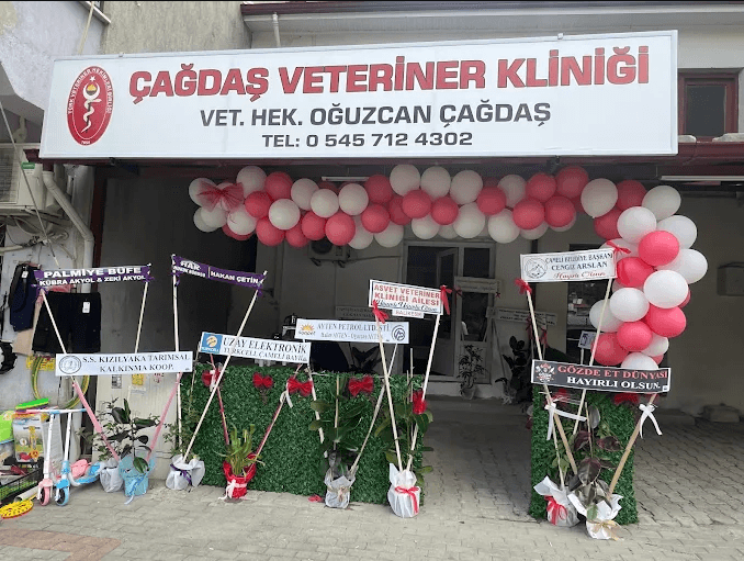 Çağdaş Veteriner Kliniği