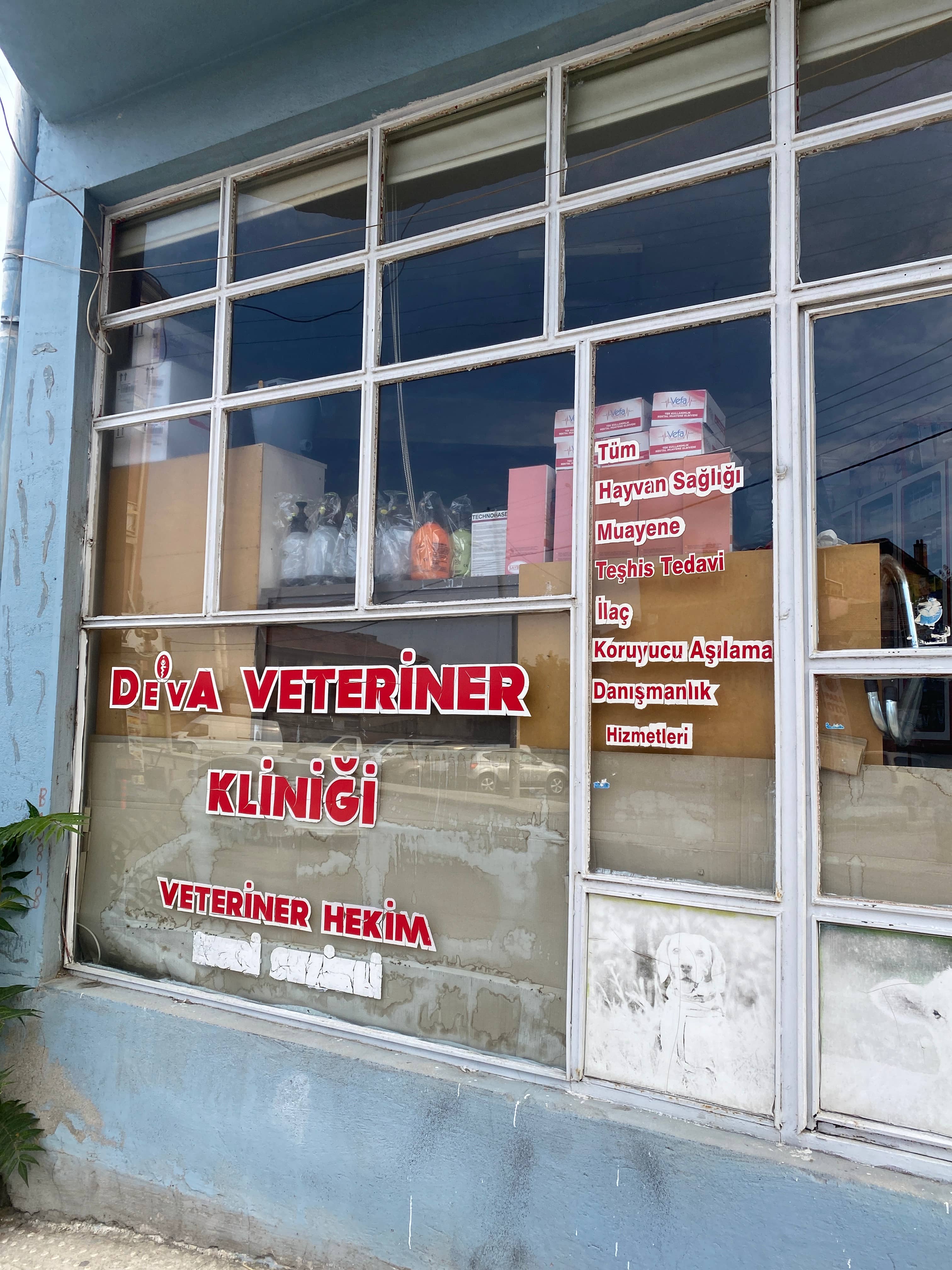 Deva veteriner kliniği