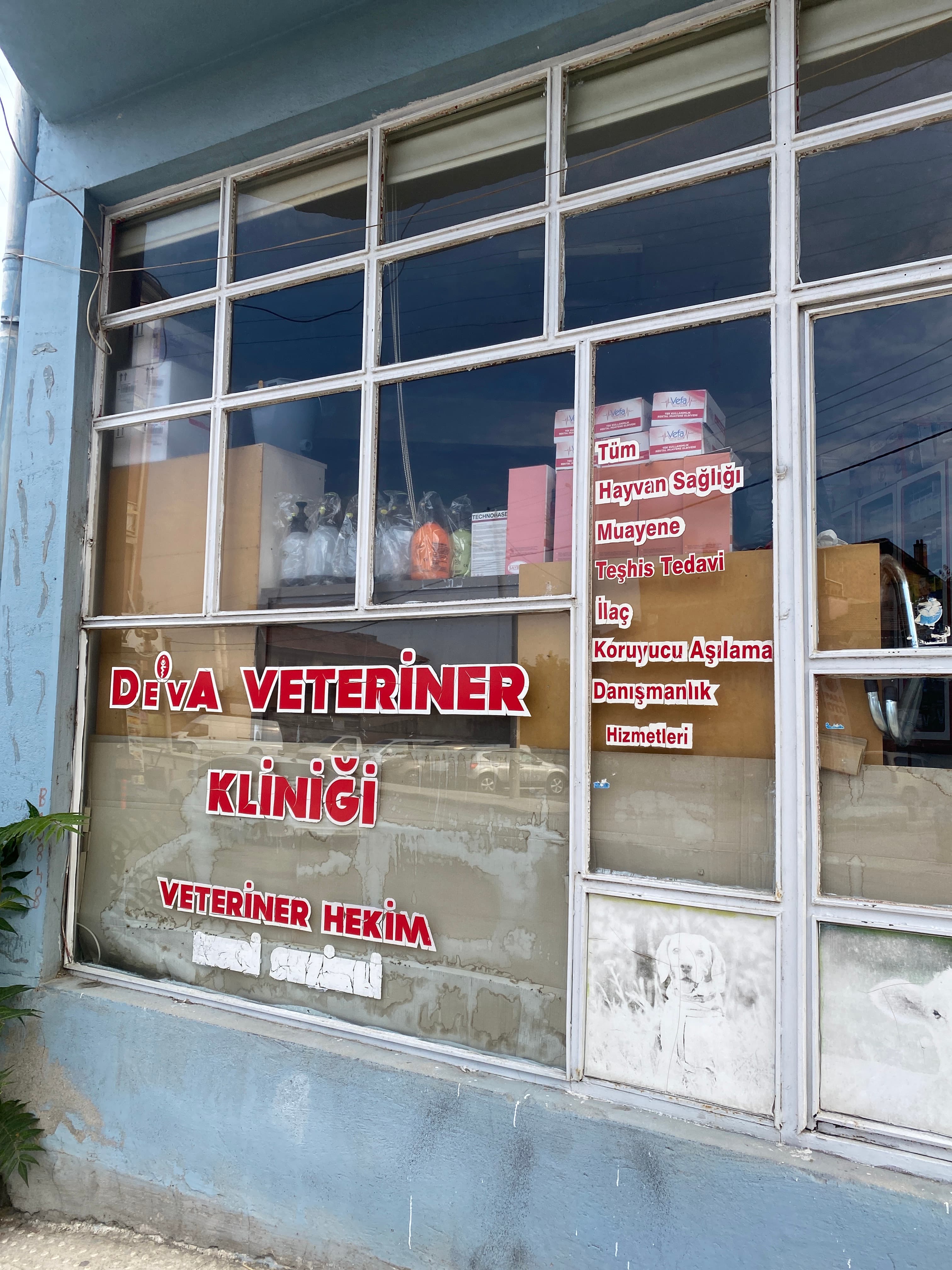 Deva veteriner kliniği